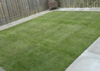 amac property maintenance ratedpeople gallery 064