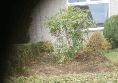 amac property maintenance ratedpeople gallery 084