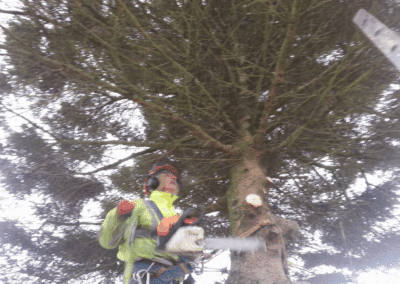 amac property maintenance ratedpeople gallery 095